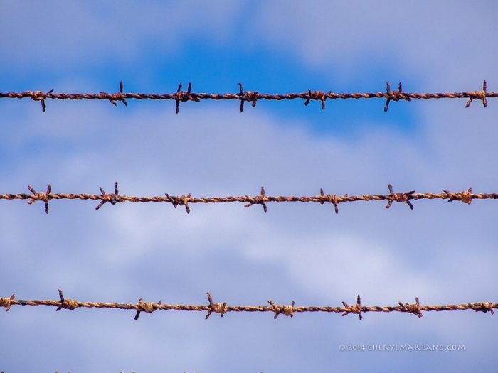 Déclaration commune : Les ONG appellent les États membres et le Parlement européen à rejeter l'utilisation de vides juridiques dans les réformes du droit d'asile de l'UE - Vues d'Europe